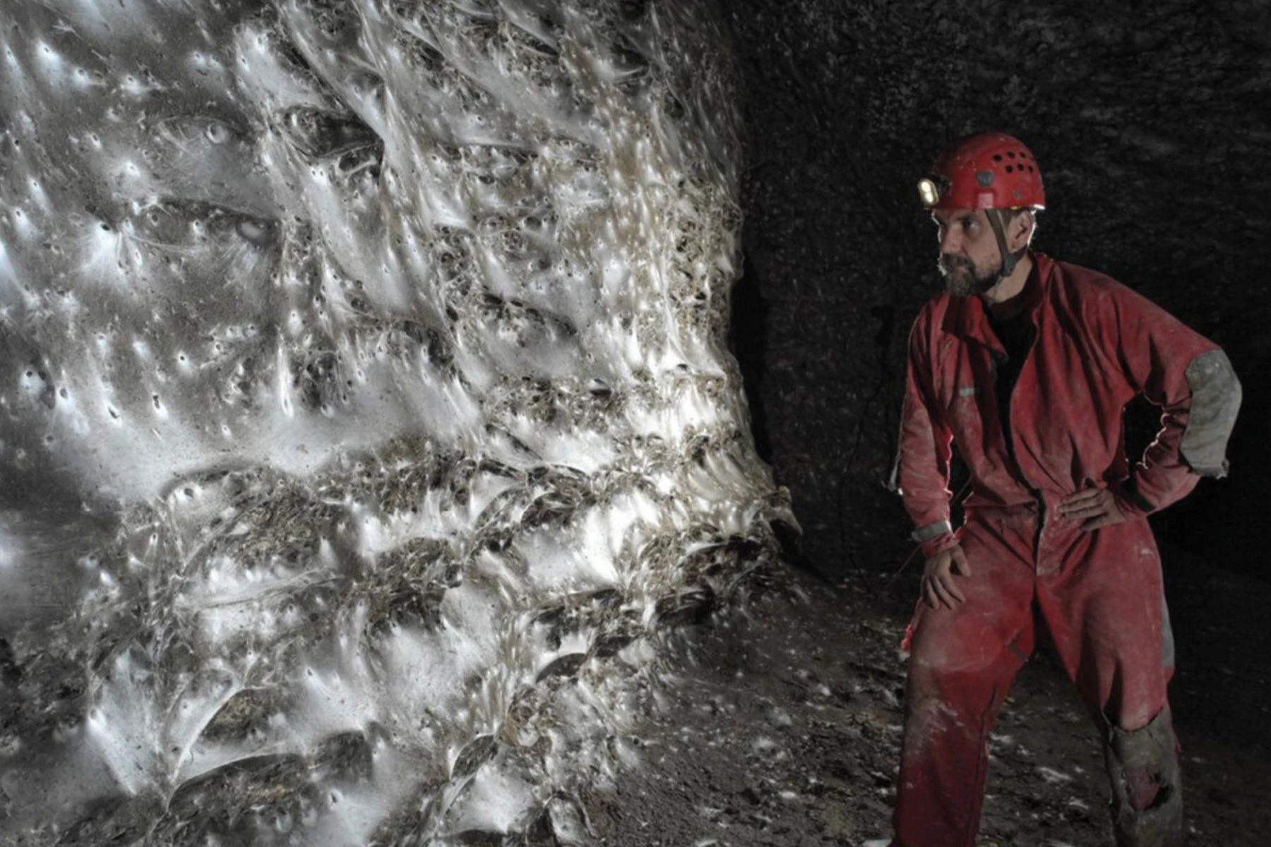 Unikátní jeskynní ekosystém: Soužití více než sto tisíc pavouků v naprosté tmě